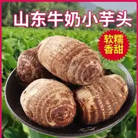25新品山东牛奶小芋头毛芋头蔬菜新鲜现挖软糯当季新鲜4.5斤