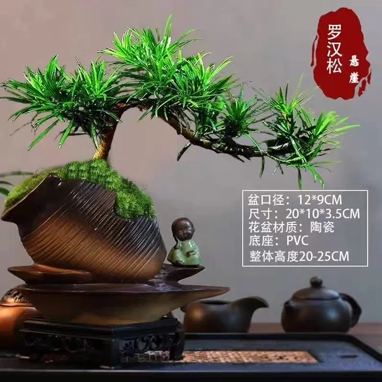 罗汉松盆景造型树老桩植物盆栽室内客厅办公室绿值好养四季常青
