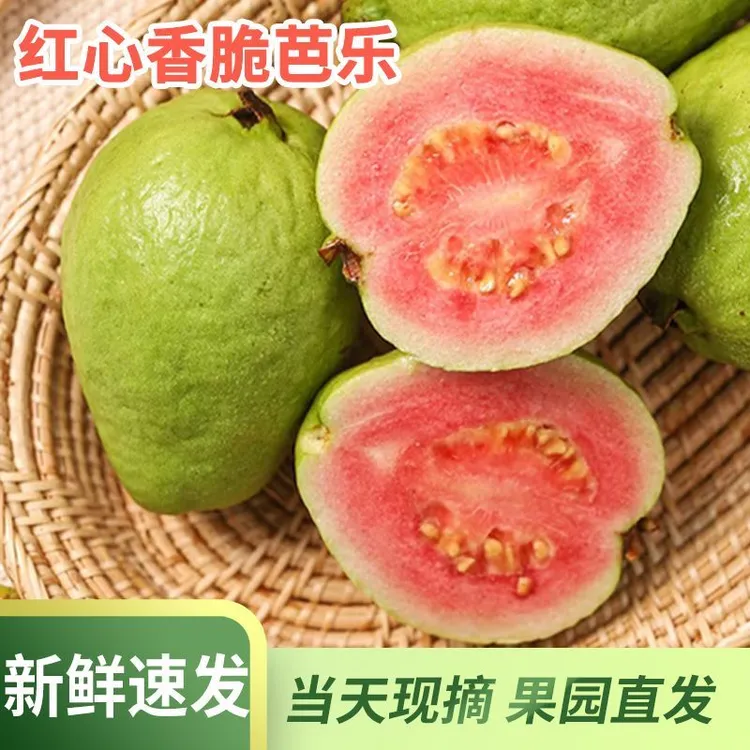 广西玉林果农直发脆酸清甜番石榴红心芭乐现摘现发新鲜水果