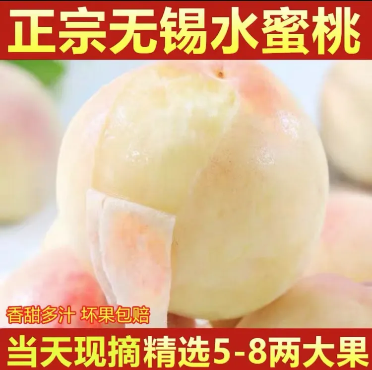 先亏1000单【5-4两】正宗无锡水蜜桃白凤湖景软糯多汁礼盒江苏省