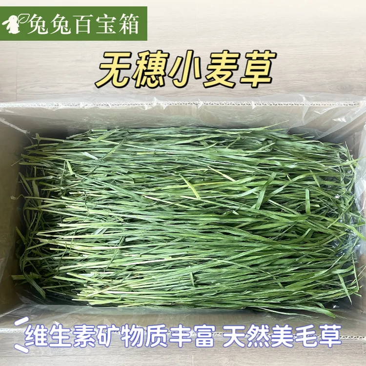 25年烘干无穗小麦草新草小麦嫩苗兔子龙猫荷兰猪多叶干草美毛辅草
