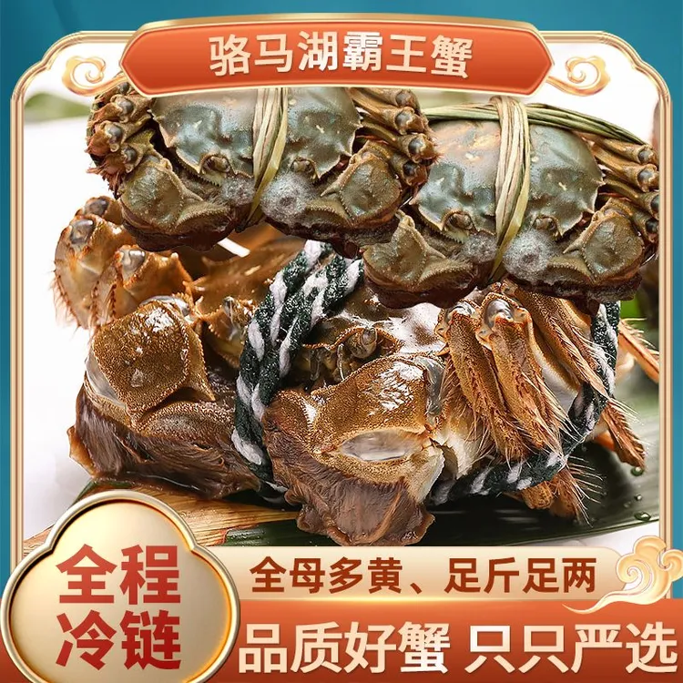 【活蟹】全母蟹2.0-2.3两礼盒装活蟹现发冷链包邮8-10只
