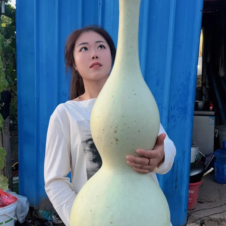 1米1佛手头长直嘴八宝10粒