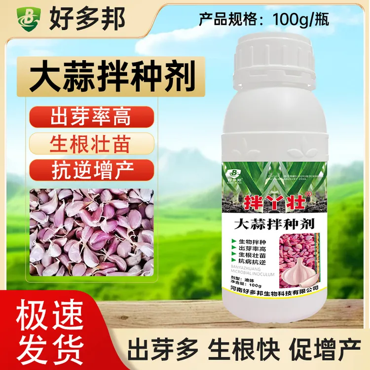 拌丫壮大蒜拌种专用剂出苗快又齐提高抗性长势健壮大蒜拌种专用