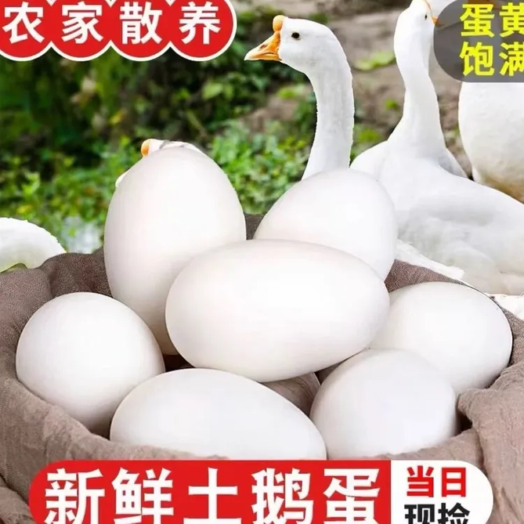 【破损包赔】现捡现发新鲜散养生态农家鹅蛋120克±10g单枚批发包邮
