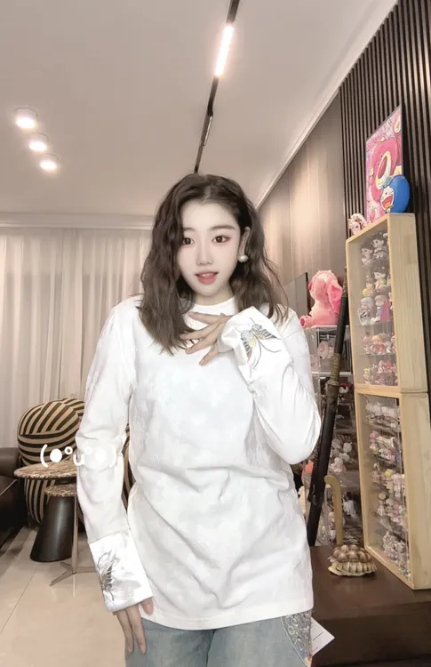 「65093」新中式弹力衫女装贵妇千金显瘦复古风提花刺绣加绒打底衫