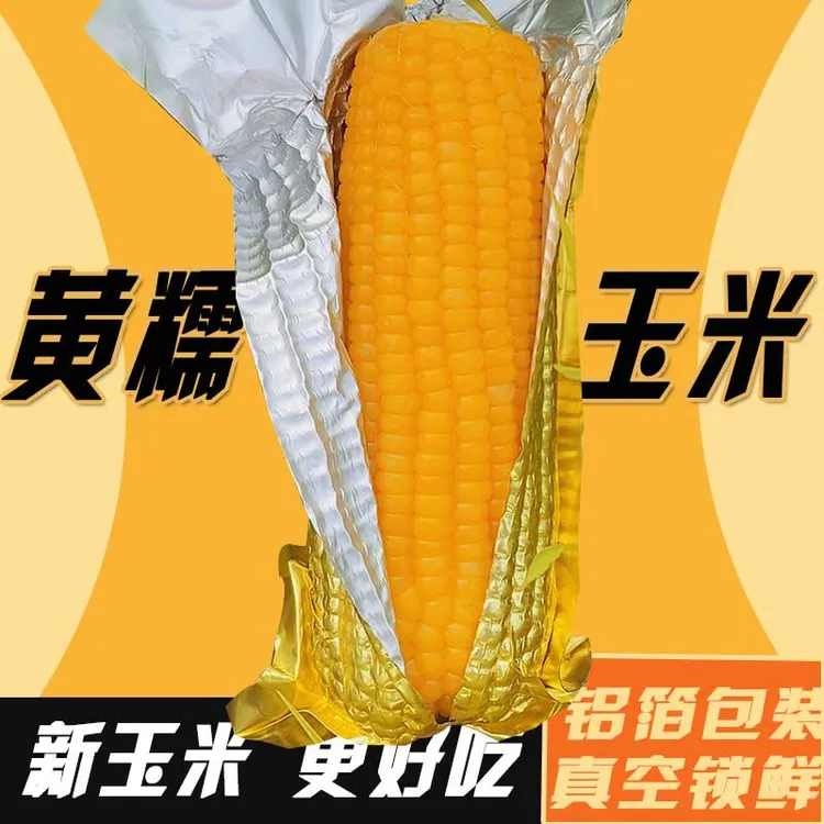【试吃2根】25年头茬黄糯软糯香粘真空锁鲜包装~玉米均重250~275g