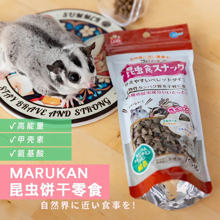 日本SANKO品高营养膏强体质蜜袋鼯兔子龙猫仓鼠刺猬小宠食品30g