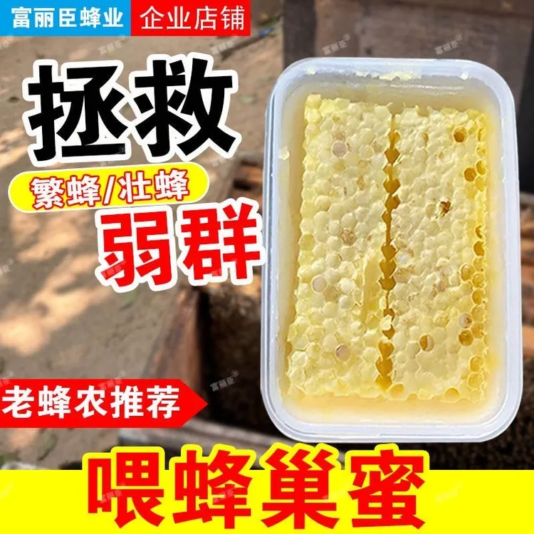 纯天然蜂巢蜂粮蜜蜂饲料专用喂蜂巢蜜壮蜂泛蜂快速造脾蜂群通用