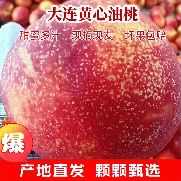 麻脸油桃当季新鲜黄心油桃甜桃子 爆甜麻脸油桃