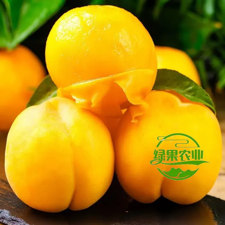 山东蒙阴黄桃。现摘现发。香甜多汁