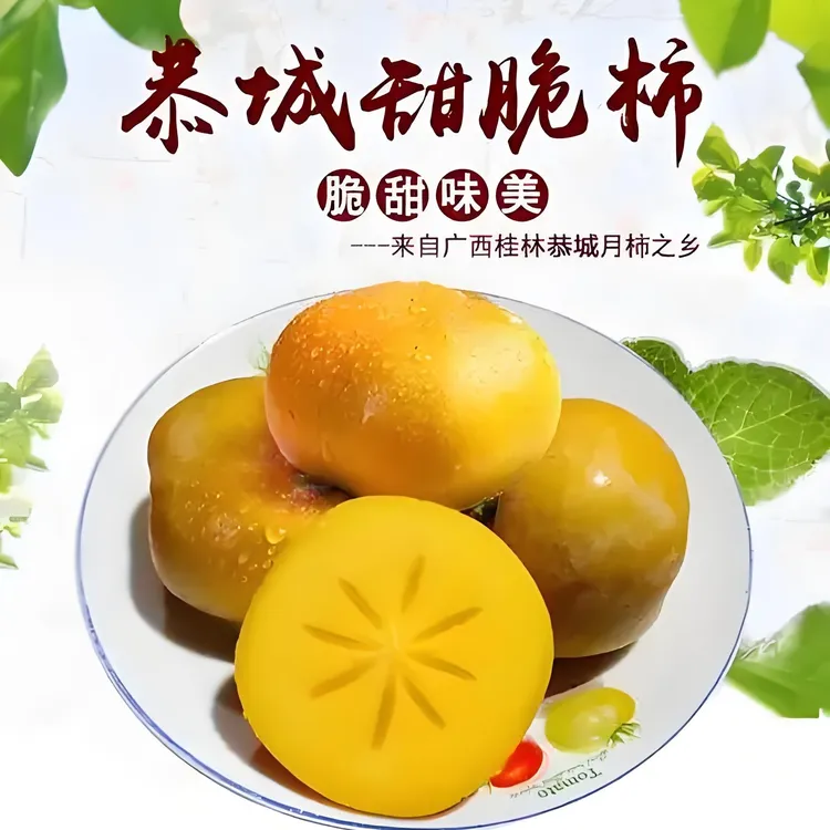 广西桂林恭城脆柿{独立真空包装}《京东包邮到家》