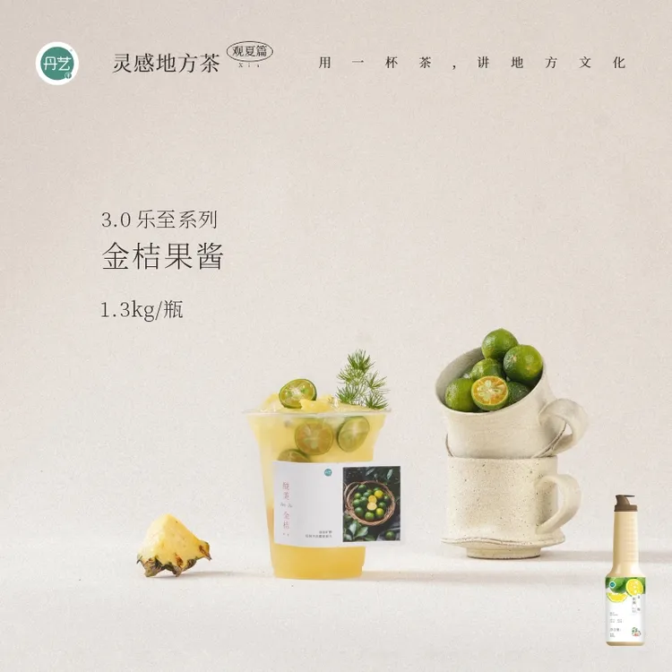 丹艺3.0乐至系列金桔浓缩汁1.3kg 奶茶店专用 柠檬百香果茶 果酱