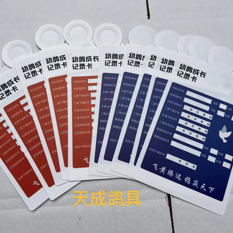 新款幼鸽成长记录卡可擦拭反复使用1包10张