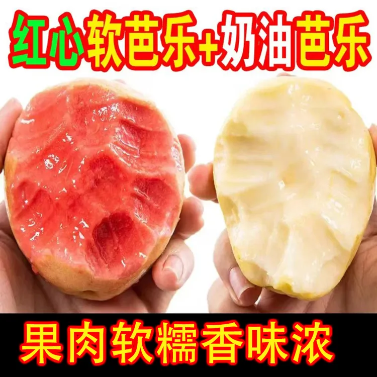 红心芭乐软糯新鲜水果奶油芭乐白心芭乐红心番石榴送酸梅粉
