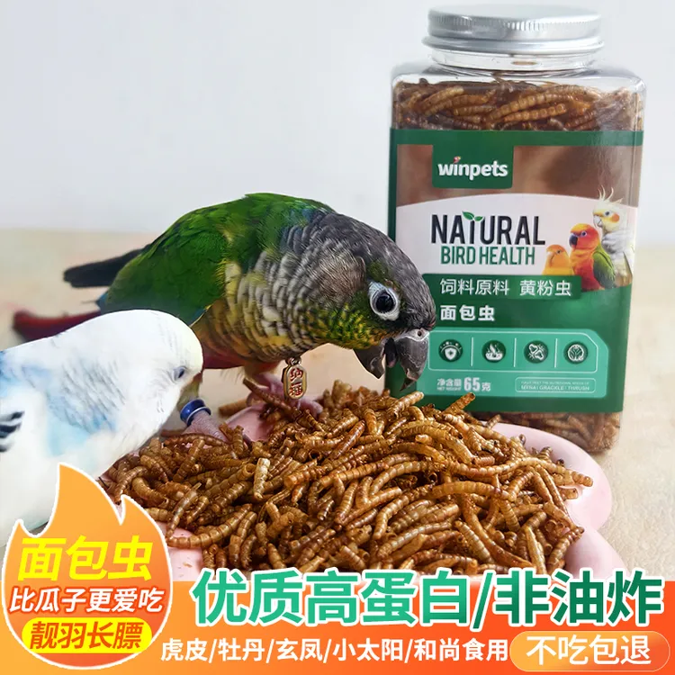 鹦鹉小宠面包虫干鸟食零食奖励虎皮牡丹玄凤小太阳八哥的营养饲料