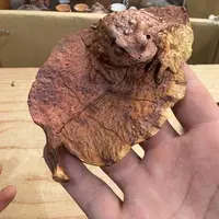 茶文化，工艺古美术