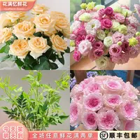 次日达 -【香槟桔梗洛神】10枝香槟10洛神1混色桔梗4草鲜切家居花任两单顺丰包邮三单送随机花瓶今天拍明天到