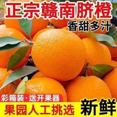 江西正宗赣南脐橙新鲜赣州脐橙信丰果园现发橙子水果