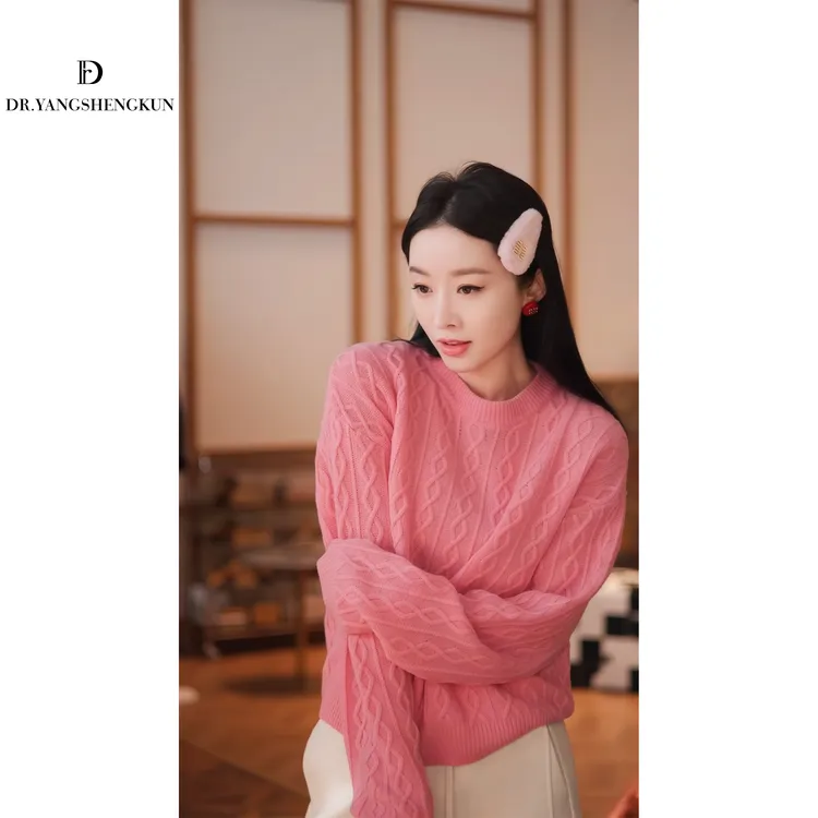 杨圣坤2025冬季新品100%山羊绒圆领麻花纯色百搭针织衫W25121306