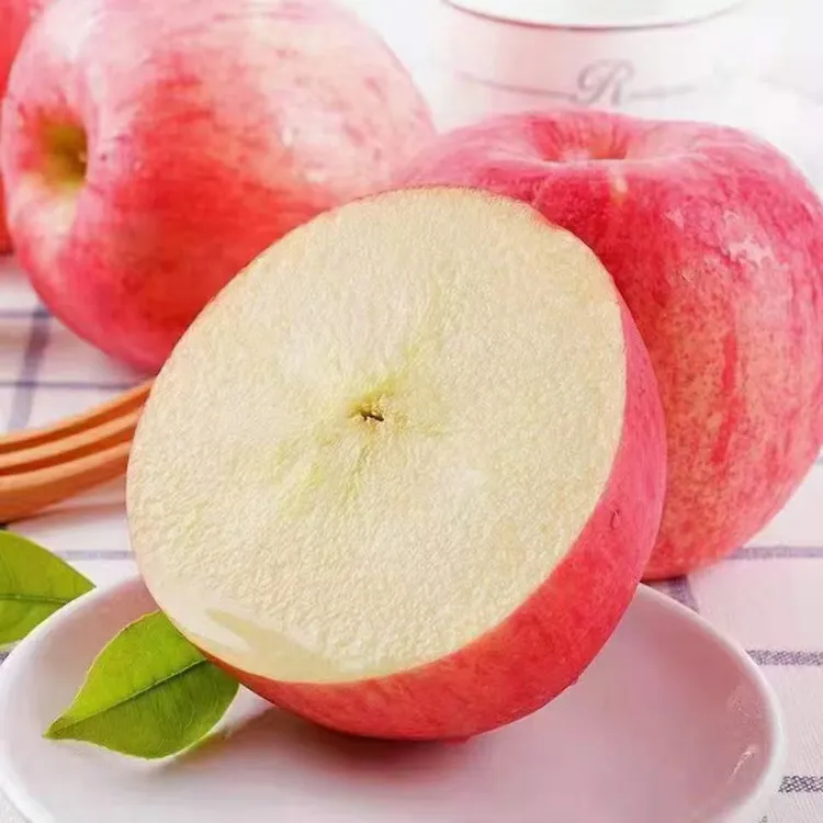 陕西洛川红富士苹果新鲜采摘脆甜多汁产地直发