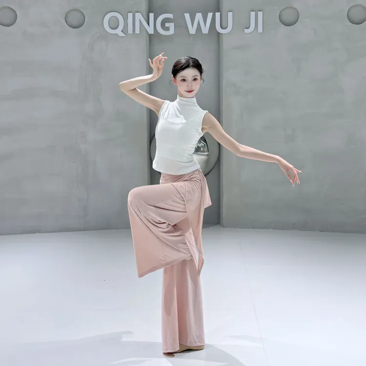 现代舞上衣古典舞练功服夏季中国舞服装女新款高领时尚无袖舞蹈服
