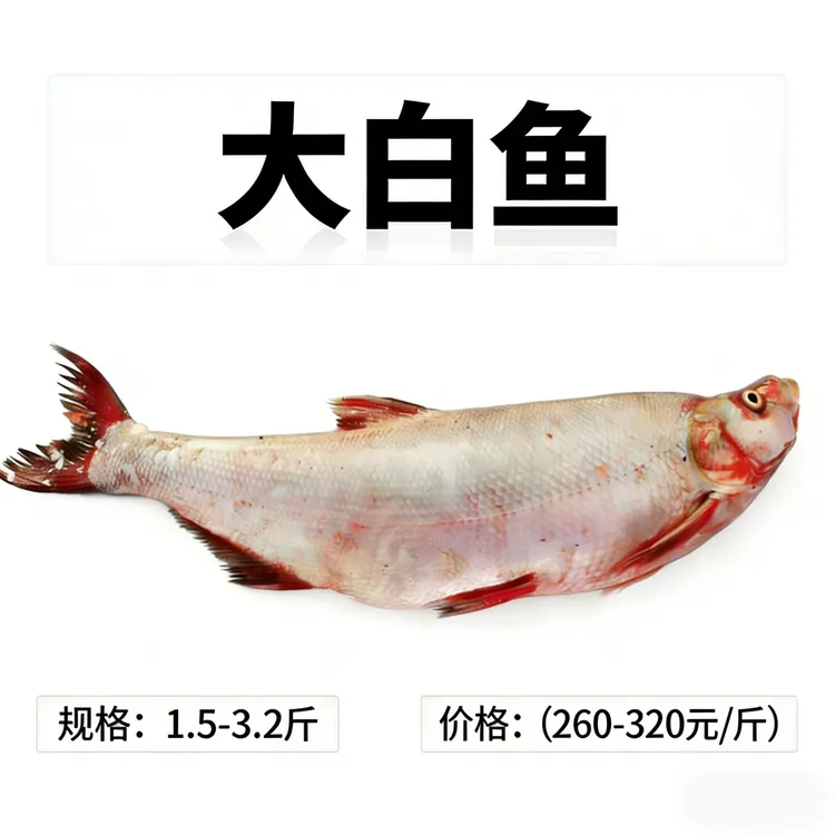 兴凯湖新鲜大白鱼顺丰包邮（1.5斤-3.2斤）