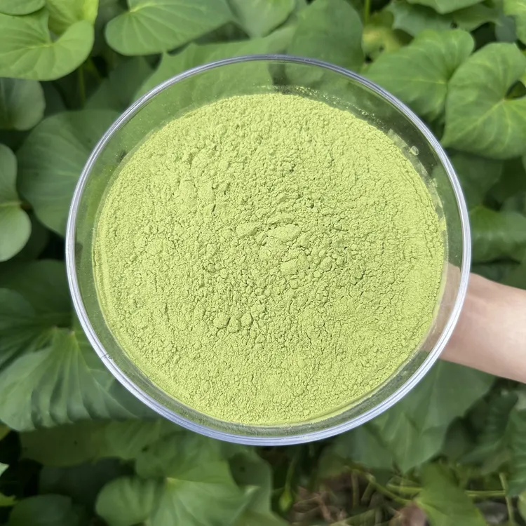 牛油果羽衣甘蓝粉 ①