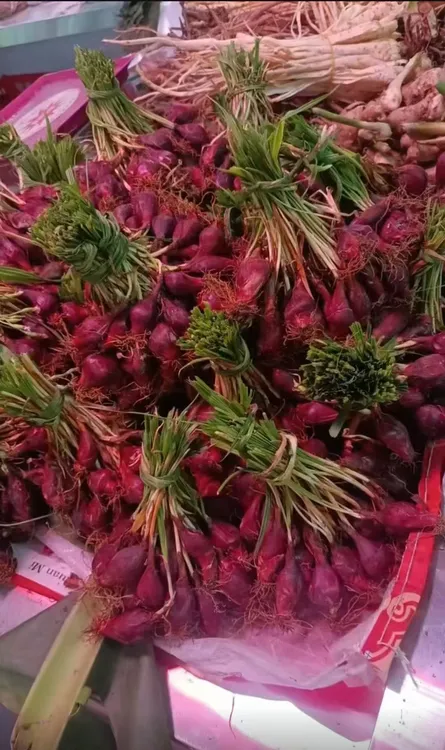 云南普洱大芦山新鲜红葱头血葱头小红蒜朱葱红葱种子芽新鲜采摘