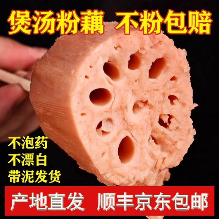 洪湖颜姐粉藕2斤3斤/5斤顺丰包邮细长品种现挖现发煲汤粉糯