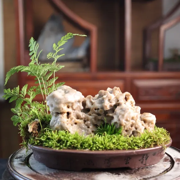 千嶂琐翠｜玲珑石名家紫砂小微盆景微景观桌面茶台书房装饰品