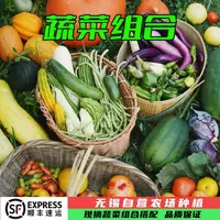 蔬菜组合装现摘农家蔬菜顺丰包邮叶菜