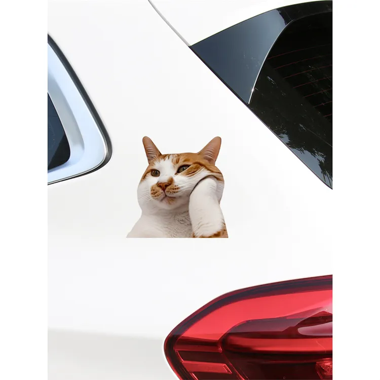 可爱搞笑迷因MEME猫猫咪惊讶表情个性创意车贴笔记本行李箱贴纸