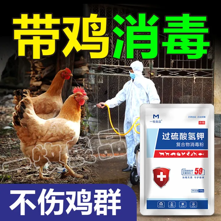 鸡舍专用消毒液过硫酸氢钾消毒液养殖场专用鸡窝鸡棚鸡鸭鹅消毒液商品图