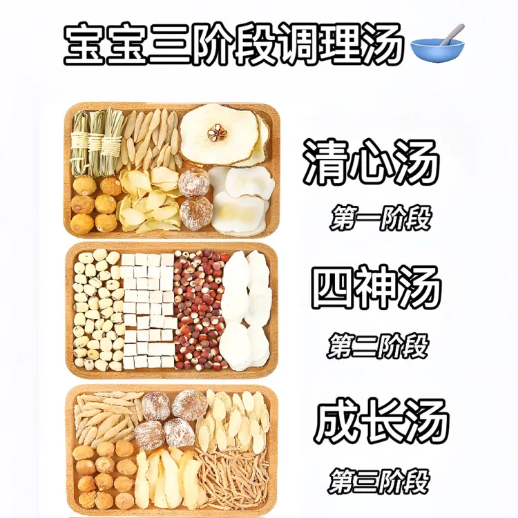 四神汤调理儿童灯芯草海底椰清心汤太子参麦冬成长炖汤包