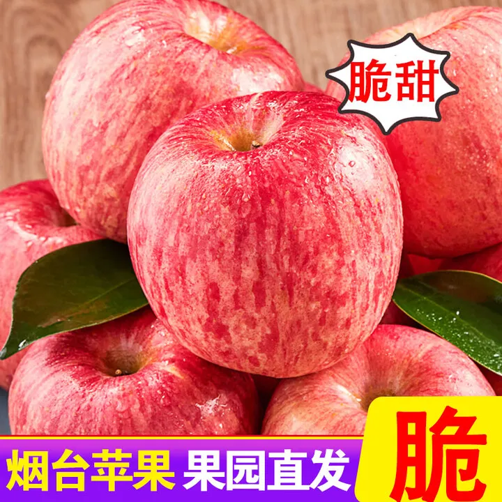 【脆甜！烟台苹果地标认证】烟台栖霞红富士苹果烟台苹果脆甜
