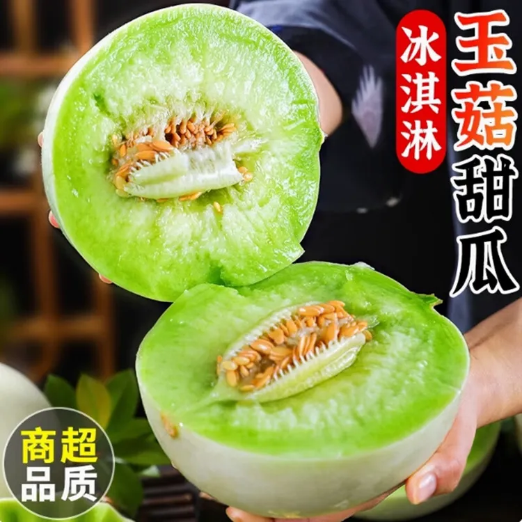 【顺丰包邮】头茬玉菇冰激凌甜瓜软糯香甜新鲜水果香味浓郁现摘现发