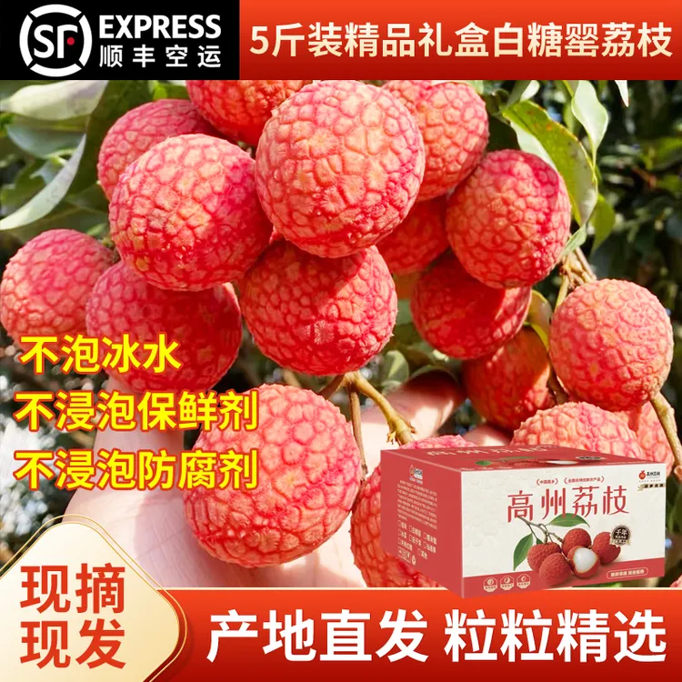 2025茂名高州新鲜现摘现发白糖罂荔枝5斤装顺丰空运包邮