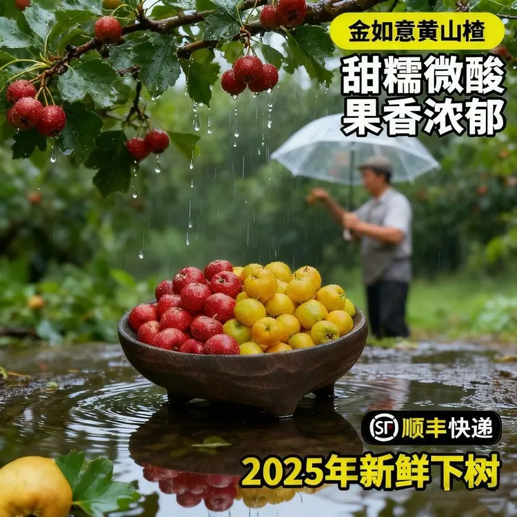 水果山楂甜红子山楂鲜果高端品种酸甜爽口山楂产地直发山西运城