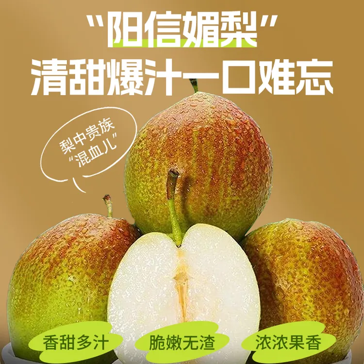 山东阳信原产媚梨皮薄肉嫩汁水充足无渣脆甜爽口水果梨子当季热卖