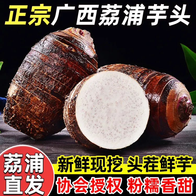 【协会授权】正宗广西荔浦芋头新鲜现挖粉糯香甜香芋大芋头产地直发
