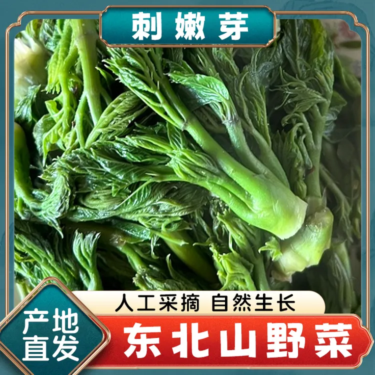 冬日东北特产山野菜刺嫩芽炒菜野生菜