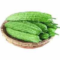 【张大庆专属】农产品苦瓜