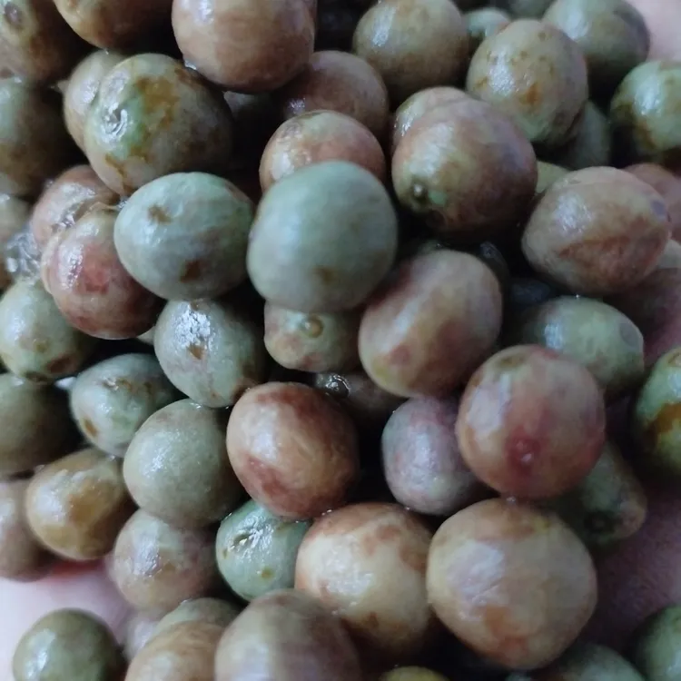 本地野生带刺二红鸡头米【大】