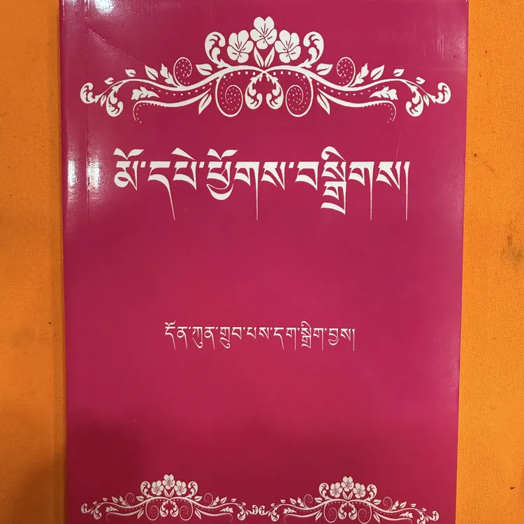 木白曲直，精美收纳