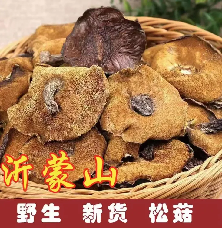 沂蒙山松蘑菇野生松菇山蘑菇松蛾粘蛾子粘团子