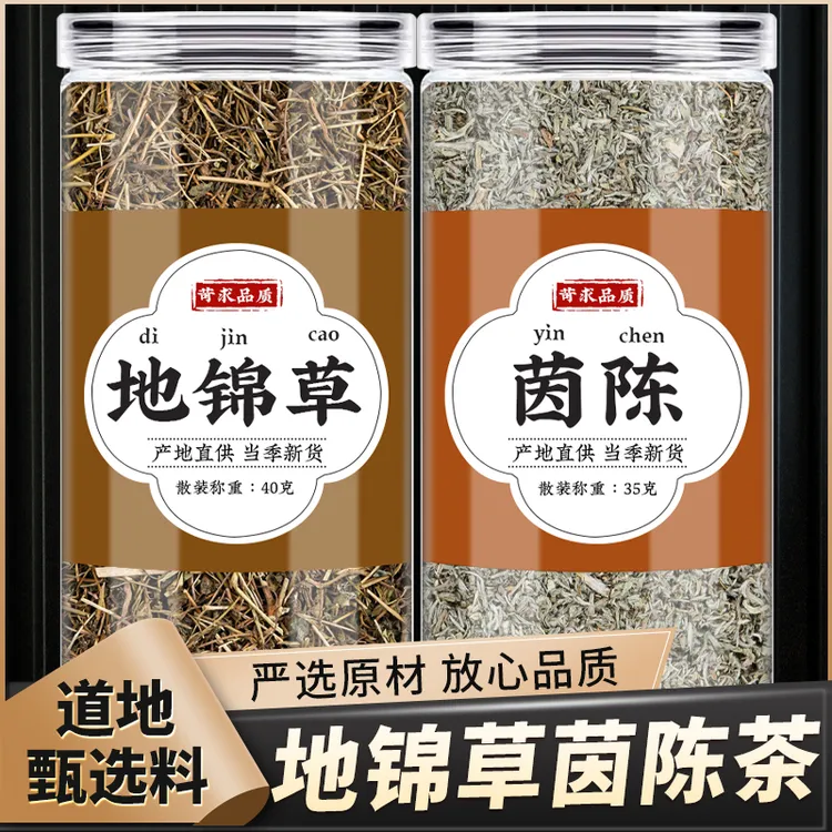 地锦草茵陈正品新鲜千根草小红筋草红丝草泡煮水