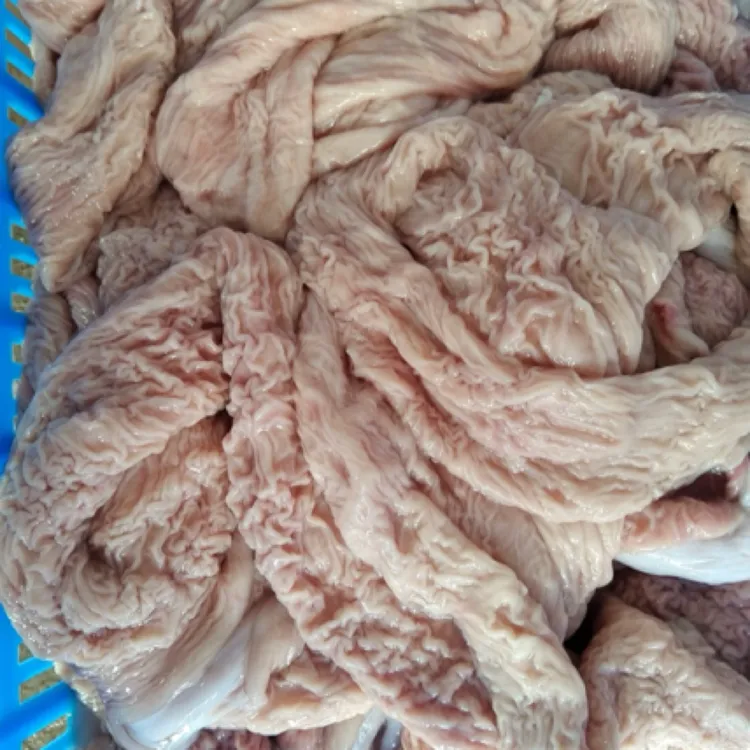 新鲜生牛大肠干净无油牛杂商用火锅食材批发 固形物含量80%以上