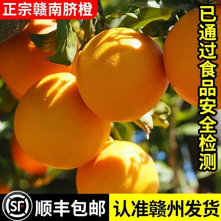 【顺丰包邮】江西赣南脐橙正宗信丰当季新鲜手剥甜橙孕妇水果精品果