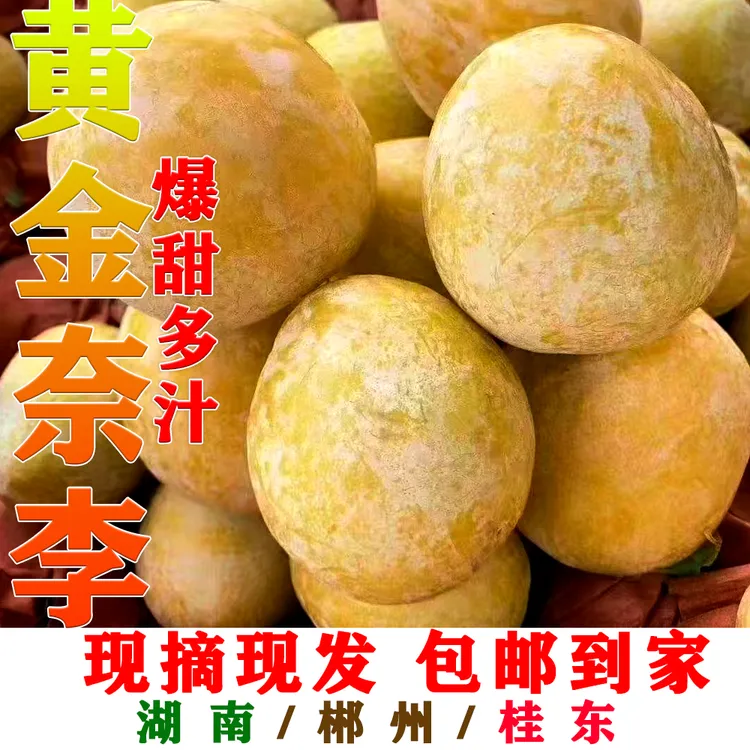 正宗湖南郴州桂东黄金奈李蜂蜜奈李新鲜应季水果整箱包邮
